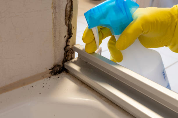 Best Office Mold Removal Services  in Wellington, OH