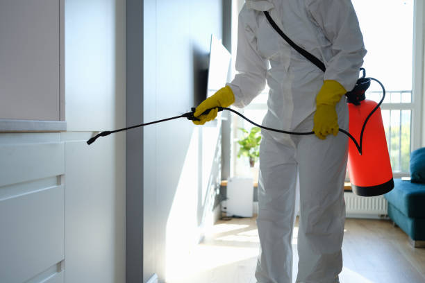 Best Certified Mold Removal  in Wellington, OH